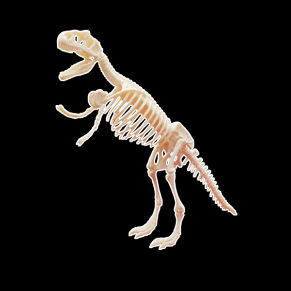 PVC 입체공룡 (티라노사우르스)